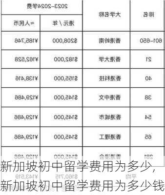 新加坡初中留学费用为多少,新加坡初中留学费用为多少钱