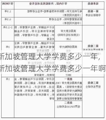 新加坡管理大学学费多少一年,新加坡管理大学学费多少一年啊