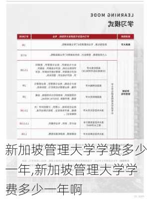 新加坡管理大学学费多少一年,新加坡管理大学学费多少一年啊