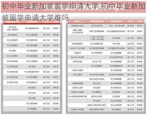 初中毕业新加坡留学申请大学,初中毕业新加坡留学申请大学难吗