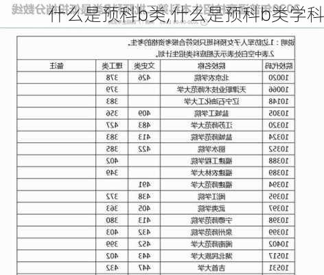 什么是预科b类,什么是预科b类学科