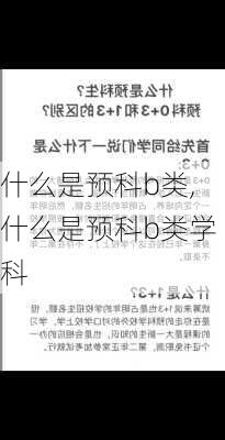 什么是预科b类,什么是预科b类学科