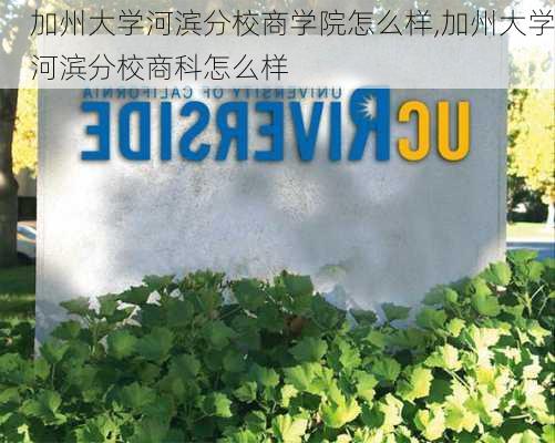 加州大学河滨分校商学院怎么样,加州大学河滨分校商科怎么样