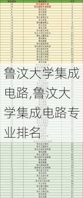 鲁汶大学集成电路,鲁汶大学集成电路专业排名