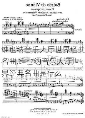 维也纳音乐大厅世界经典名曲,维也纳音乐大厅世界经典名曲是什么