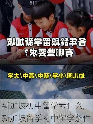 新加坡初中留学考什么,新加坡留学初中留学条件