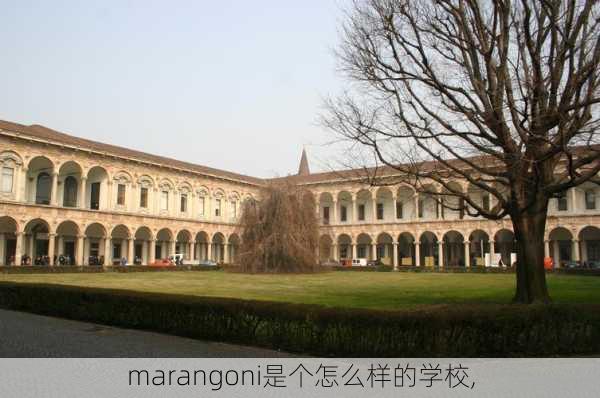 marangoni是个怎么样的学校,