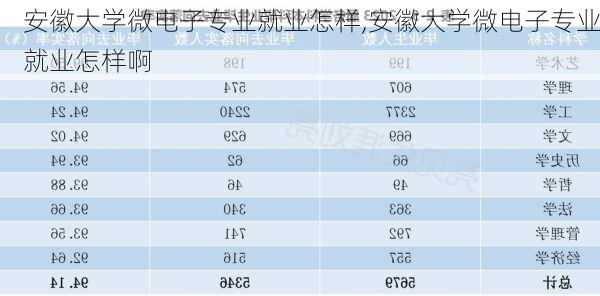 安徽大学微电子专业就业怎样,安徽大学微电子专业就业怎样啊