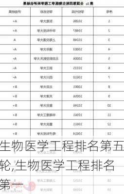 生物医学工程排名第五轮,生物医学工程排名第一