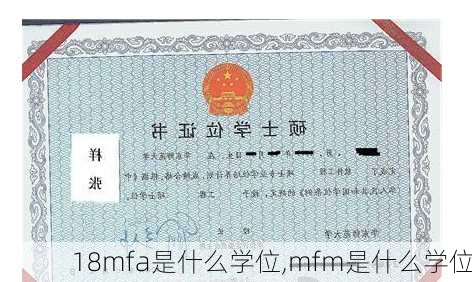 18mfa是什么学位,mfm是什么学位