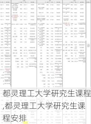 都灵理工大学研究生课程,都灵理工大学研究生课程安排