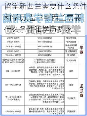 留学新西兰需要什么条件和学历,留学新西兰需要什么条件和学历要求