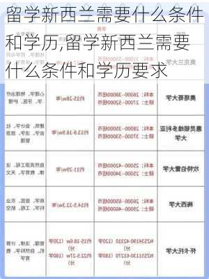 留学新西兰需要什么条件和学历,留学新西兰需要什么条件和学历要求