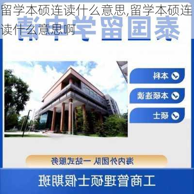 留学本硕连读什么意思,留学本硕连读什么意思啊