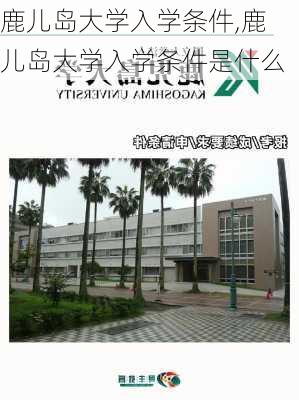 鹿儿岛大学入学条件,鹿儿岛大学入学条件是什么