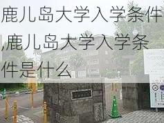 鹿儿岛大学入学条件,鹿儿岛大学入学条件是什么