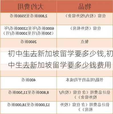 初中生去新加坡留学要多少钱,初中生去新加坡留学要多少钱费用