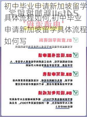 初中毕业申请新加坡留学具体流程如何,初中毕业申请新加坡留学具体流程如何写