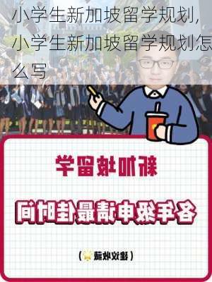 小学生新加坡留学规划,小学生新加坡留学规划怎么写