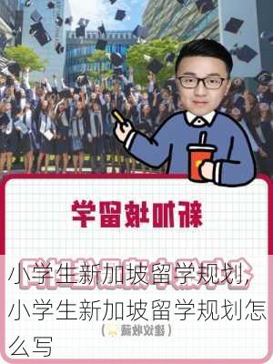 小学生新加坡留学规划,小学生新加坡留学规划怎么写