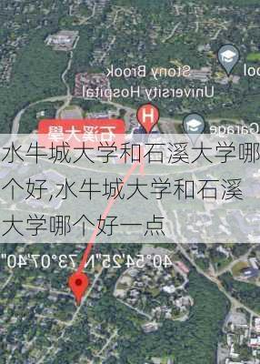 水牛城大学和石溪大学哪个好,水牛城大学和石溪大学哪个好一点