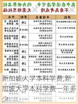 新加坡大学本科学费,新加坡大学本科学费一年多少