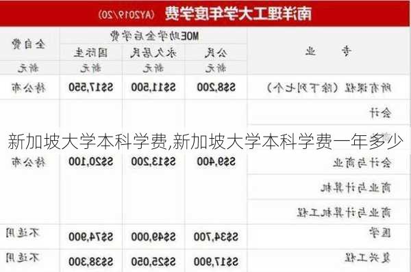 新加坡大学本科学费,新加坡大学本科学费一年多少