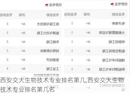 西安交大生物技术专业排名第几,西安交大生物技术专业排名第几名