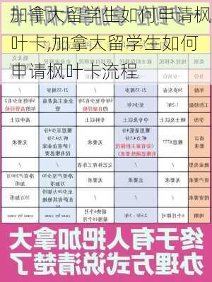 加拿大留学生如何申请枫叶卡,加拿大留学生如何申请枫叶卡流程