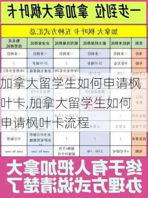 加拿大留学生如何申请枫叶卡,加拿大留学生如何申请枫叶卡流程