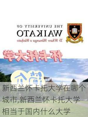 新西兰怀卡托大学在哪个城市,新西兰怀卡托大学相当于国内什么大学