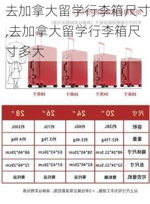 去加拿大留学行李箱尺寸,去加拿大留学行李箱尺寸多大