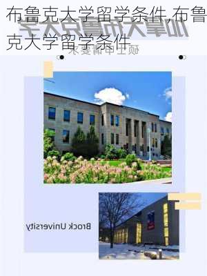 布鲁克大学留学条件,布鲁克大学留学条件