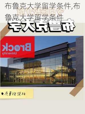 布鲁克大学留学条件,布鲁克大学留学条件