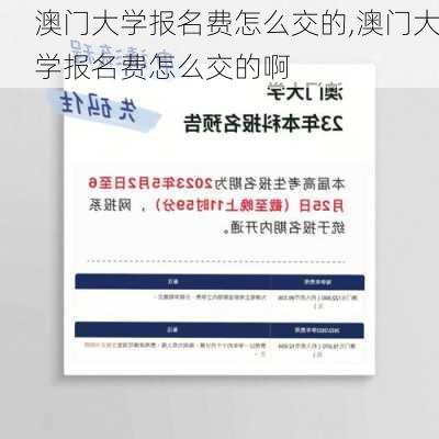 澳门大学报名费怎么交的,澳门大学报名费怎么交的啊