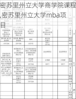 密苏里州立大学商学院课程,密苏里州立大学mba项目