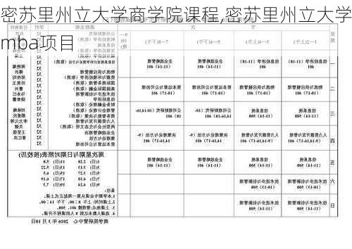 密苏里州立大学商学院课程,密苏里州立大学mba项目