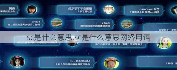 sc是什么意思,sc是什么意思网络用语