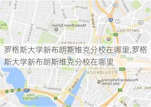 罗格斯大学新布朗斯维克分校在哪里,罗格斯大学新布朗斯维克分校在哪里