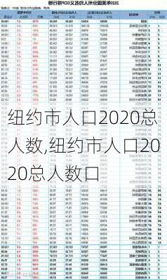 纽约市人口2020总人数,纽约市人口2020总人数口