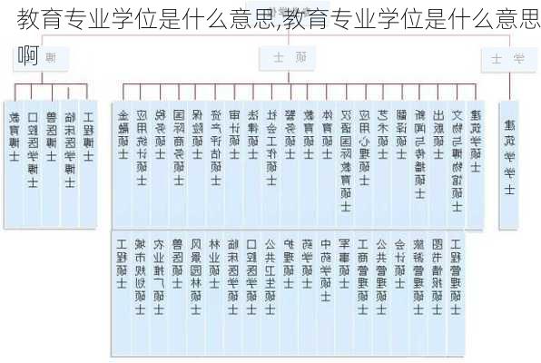 教育专业学位是什么意思,教育专业学位是什么意思啊