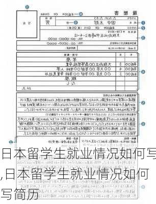 日本留学生就业情况如何写,日本留学生就业情况如何写简历