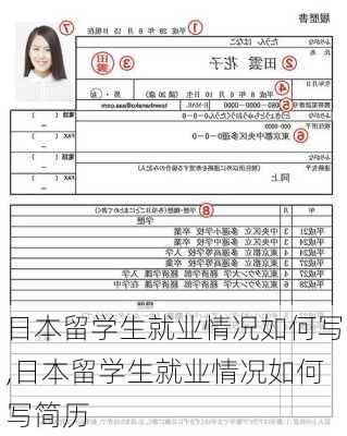 日本留学生就业情况如何写,日本留学生就业情况如何写简历