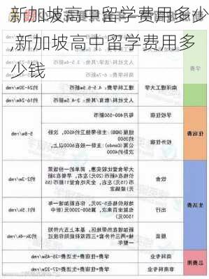 新加坡高中留学费用多少,新加坡高中留学费用多少钱