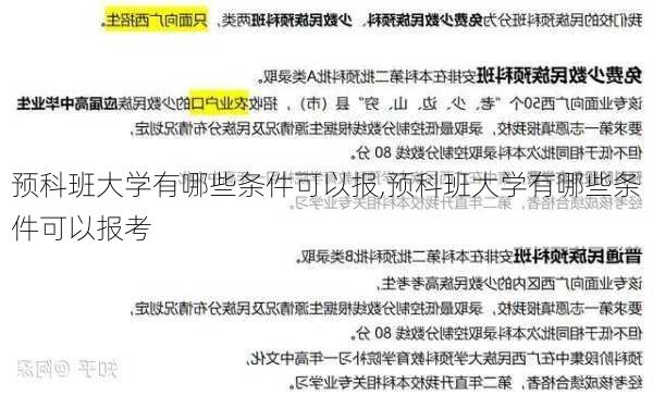 预科班大学有哪些条件可以报,预科班大学有哪些条件可以报考