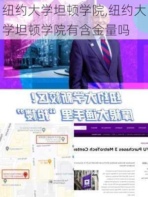 纽约大学坦顿学院,纽约大学坦顿学院有含金量吗