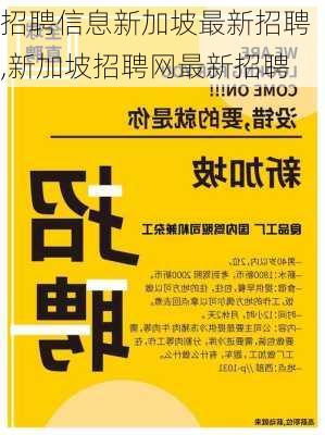 招聘信息新加坡最新招聘,新加坡招聘网最新招聘