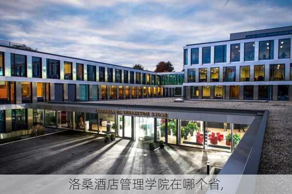 洛桑酒店管理学院在哪个省,