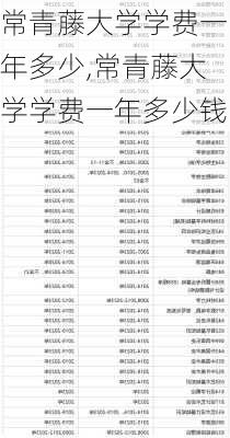 常青藤大学学费一年多少,常青藤大学学费一年多少钱