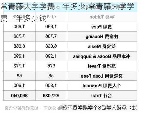 常青藤大学学费一年多少,常青藤大学学费一年多少钱